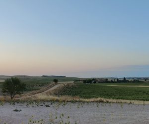 Panorámica desde la fuente de la Rinconada