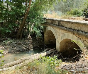 Záncara a su paso por el Molino de la Granja 3