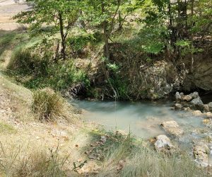 Záncara a su paso por el Molino de la Granja 2